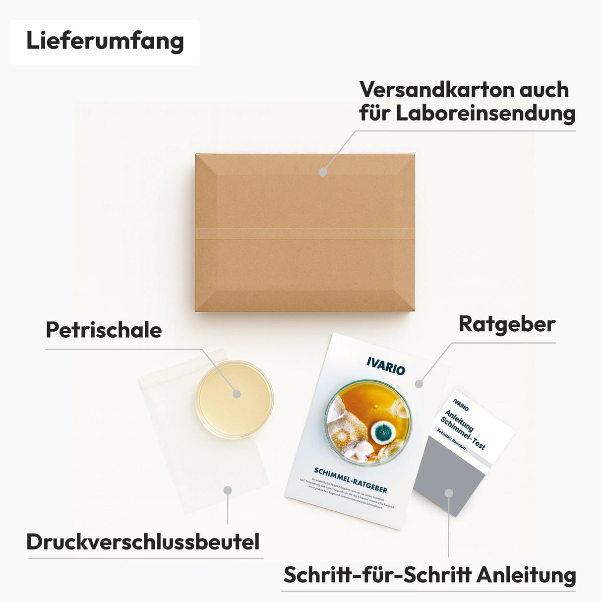 Schimmel-Selbsttest-Raumluft