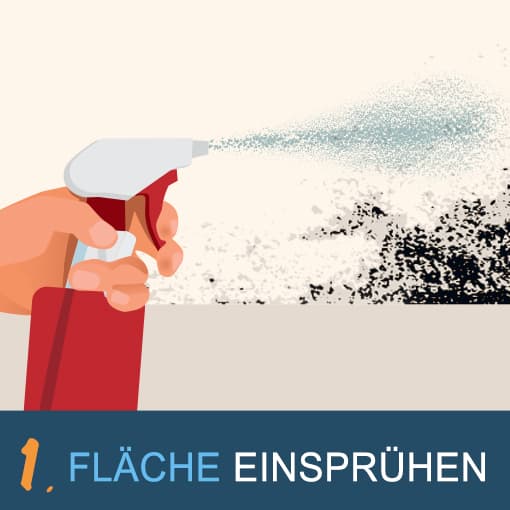 Schimmelentferner ohne Chlor