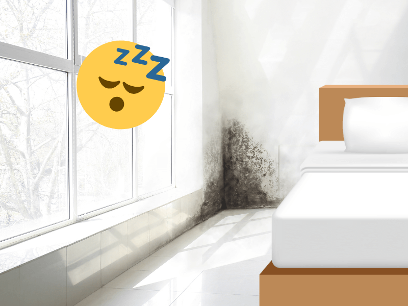 Schimmel im Schlafzimmer
