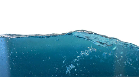 Chlor im Wasser – Desinfektion bei Bakterienbefall