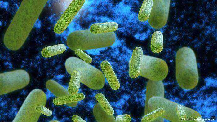 Bakterien im Trinkwasser