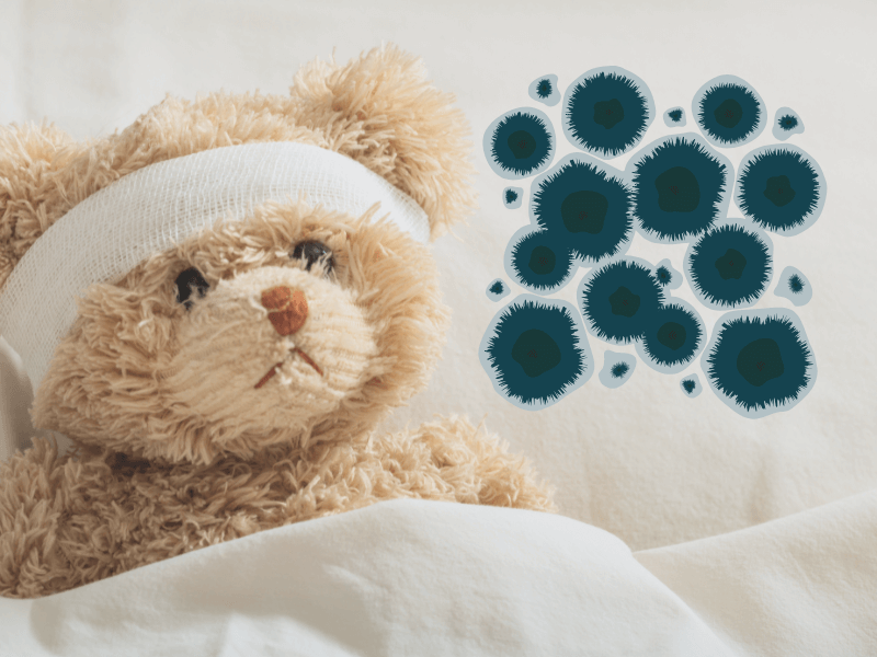 Schimmel - Krankheiten und Symptome