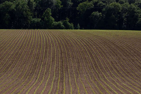 Die unsichtbare Gefahr für die Gesundheit: Glyphosat im Wasser