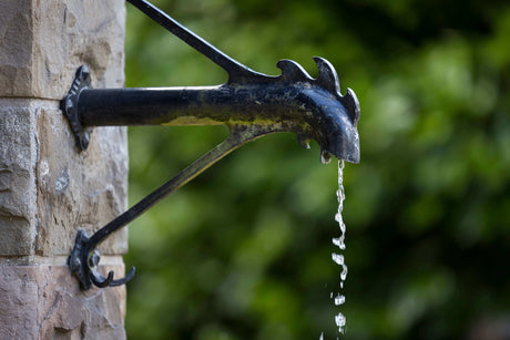 Wasser aus dem eigenen Hausbrunnen: Darf man Brunnenwasser trinken?