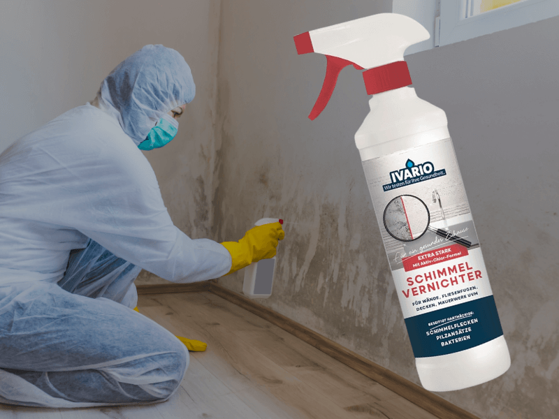 Wandschimmel entfernen