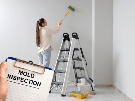 Schimmel nach dem Streichen?