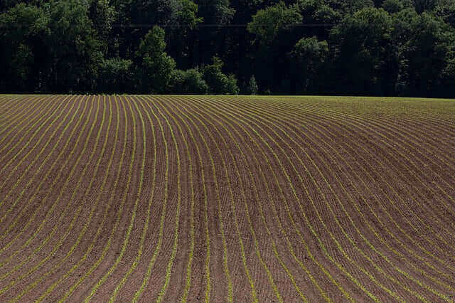 Die unsichtbare Gefahr für die Gesundheit: Glyphosat im Wasser
