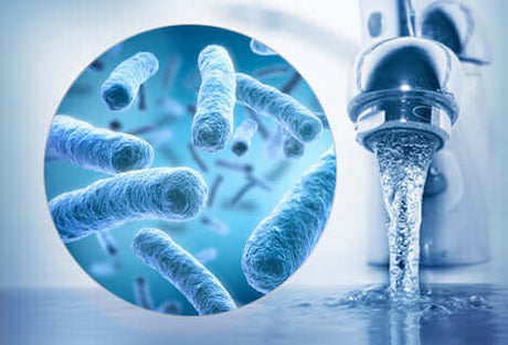 Legionellenprüfung – Ihre Fragen, unsere Antworten