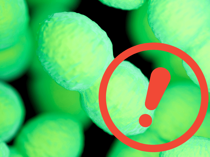 Enterokokken im Trinkwaser - Der Ratgeber