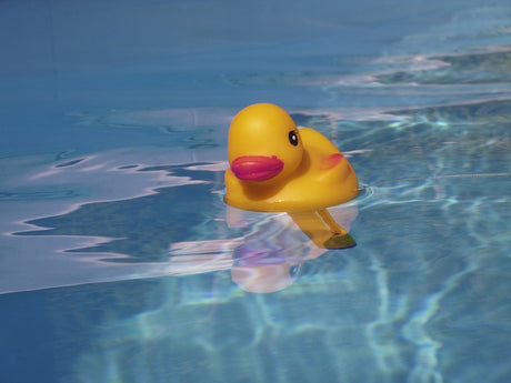 Pool Wassertester – darum ist die Kontrolle so wichtig