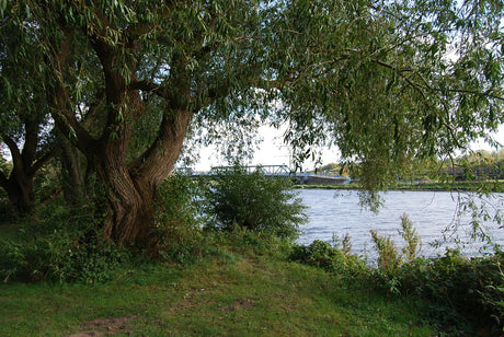 Ruhrwasser: stetige Verbesserung