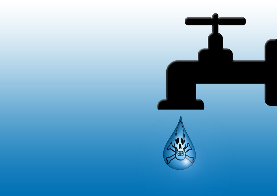 Wasserqualität verbessert sich stetig