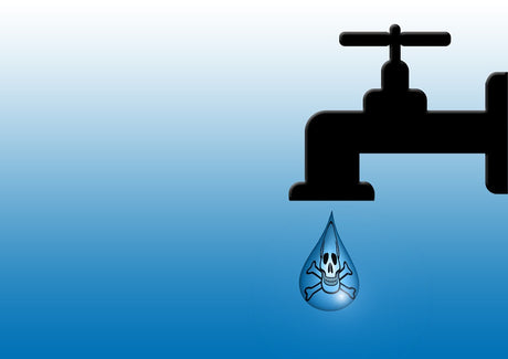 Wasserqualität verbessert sich stetig