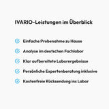 Schimmel-Labortest Komplett