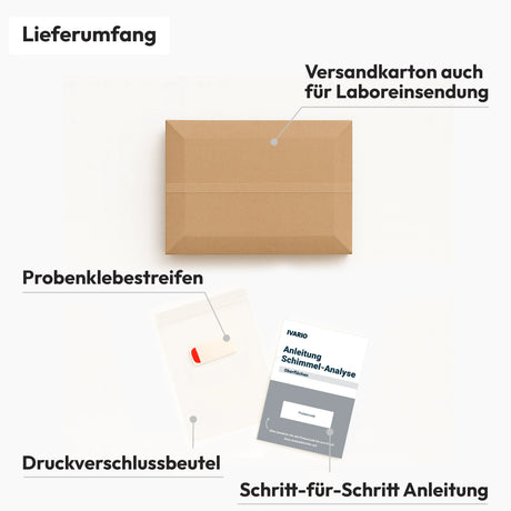 Schimmel-Labor-Kompletttest