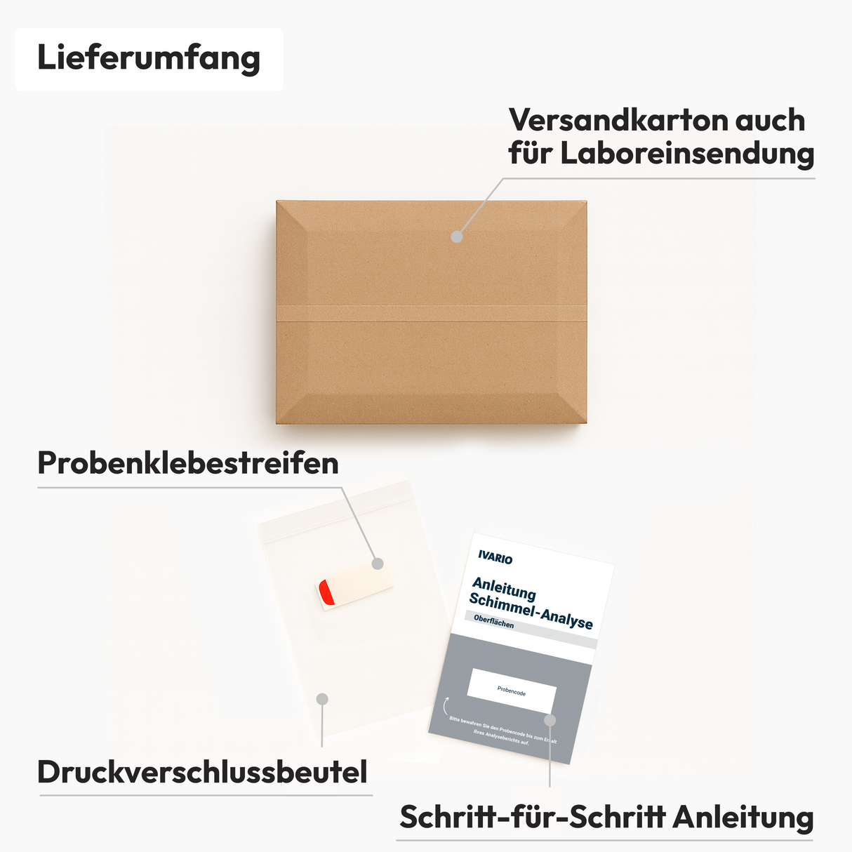 Lieferumfang Express Schimmel-Labortest-Oberflächen von IVARIO