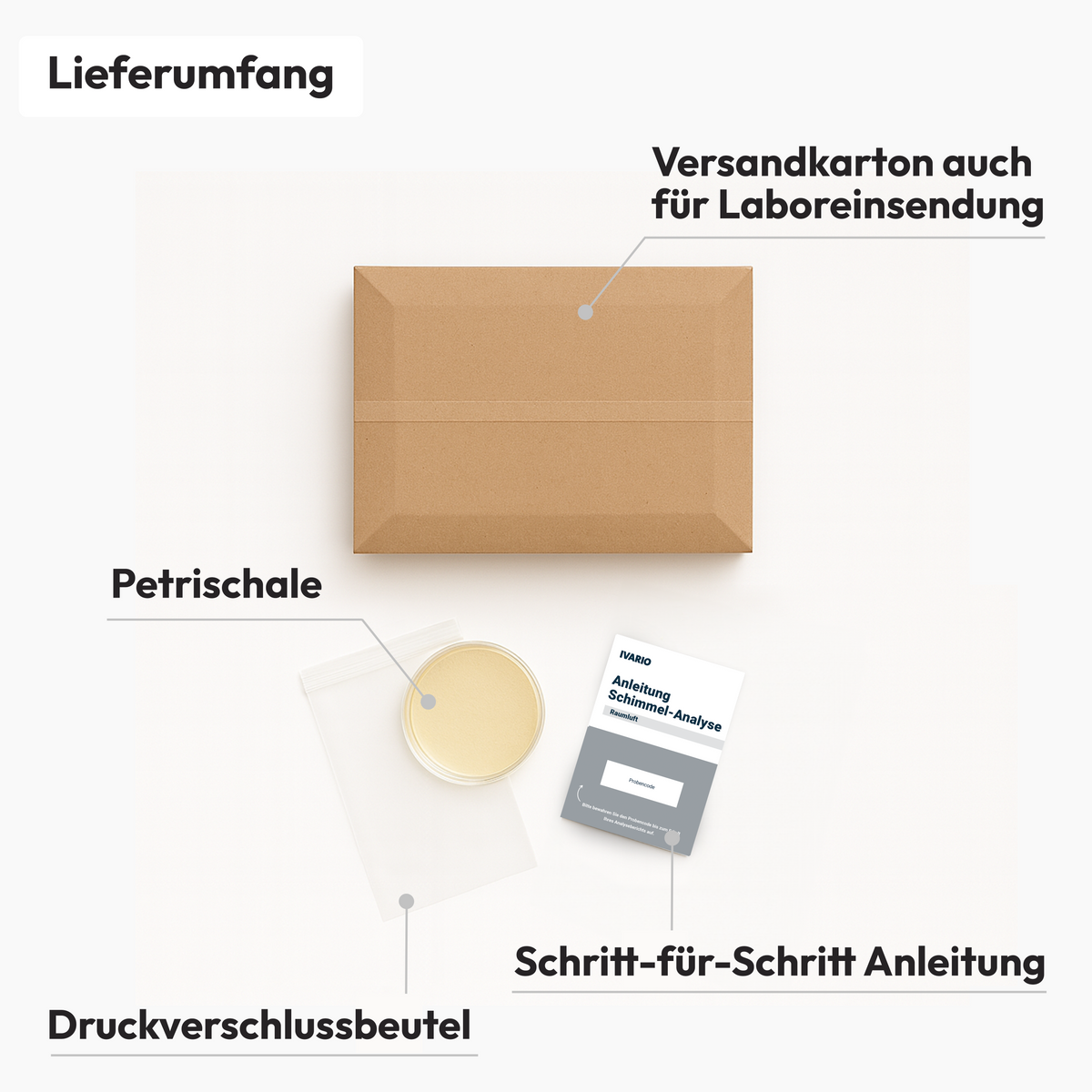 Schimmel-Labortest Raumluft